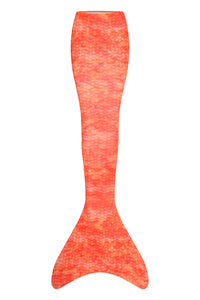 The Charlotte Mermaid Tail